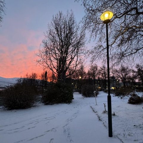 Sunrise and snow.jpg