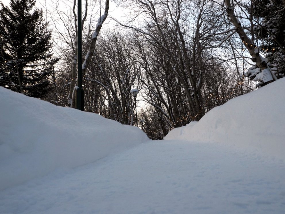 Please walk on the plouged paths