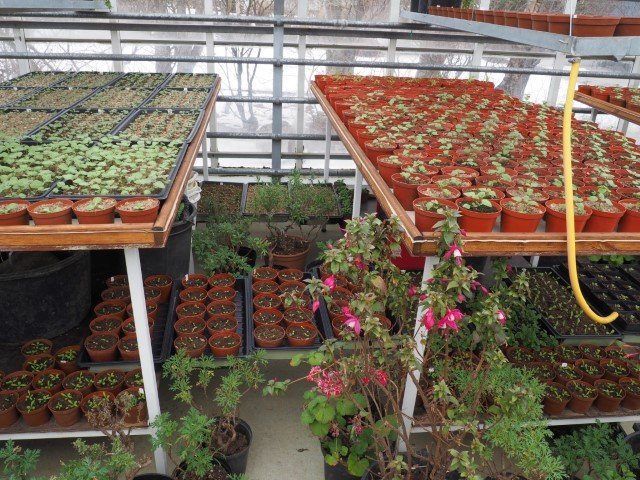 Kominn tími til að sá í Lystigarðinum