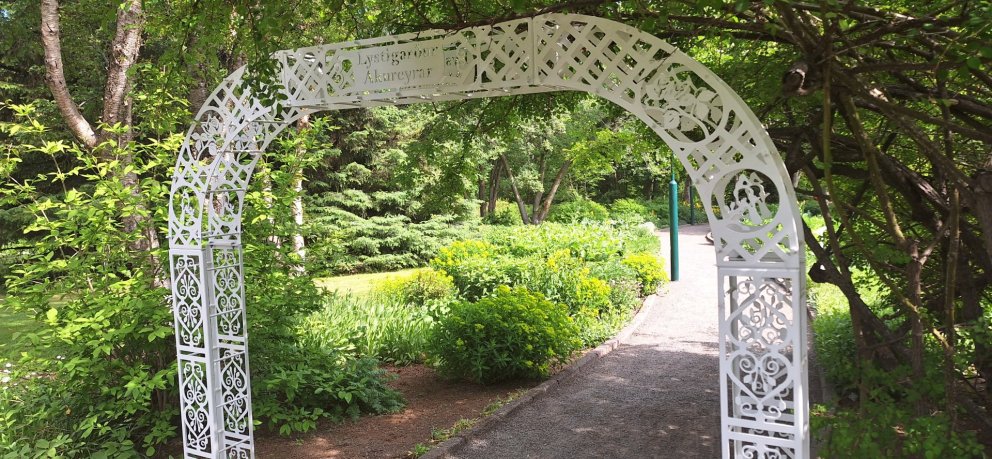 Garðbogi við körfublómabeð.