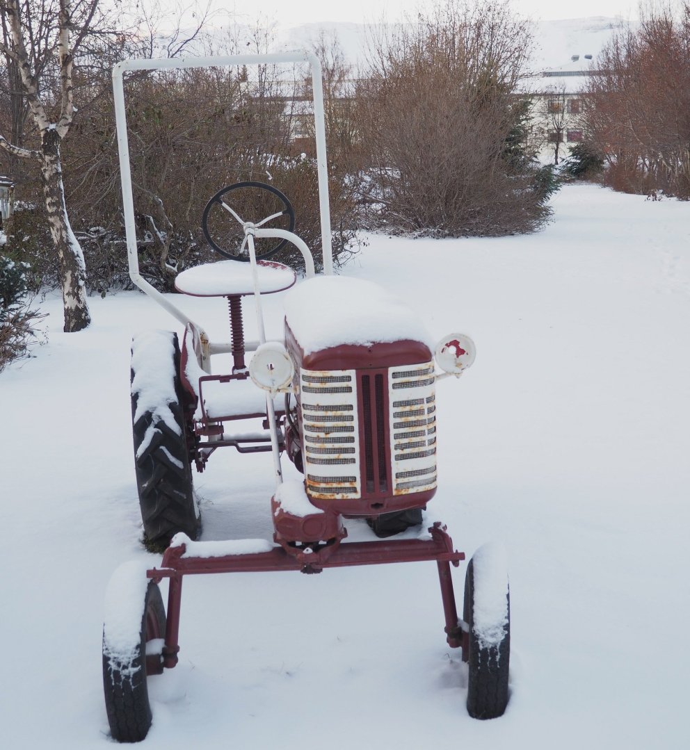Winter arrives at the Lystigarður