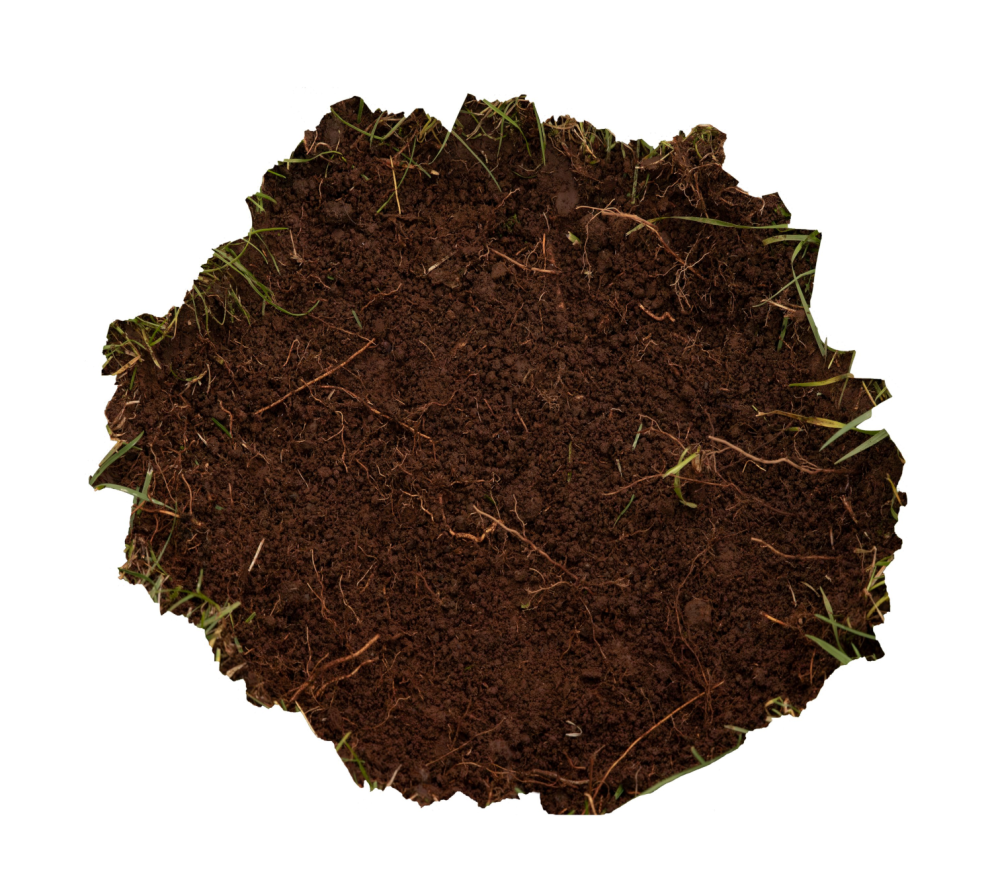 Portal to appear at the Akureyri Botanic Garden