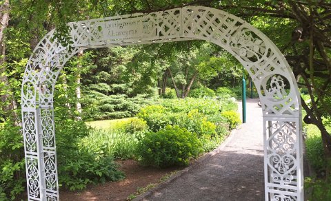 Garðbogi við körfublómabeð.