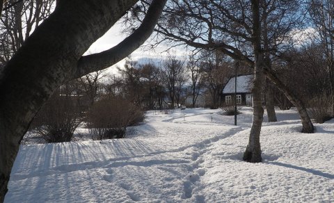 Guðrún on the garden
