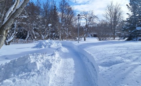Please walk on the ploughed pathways