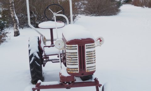 Winter arrives at the Lystigarður