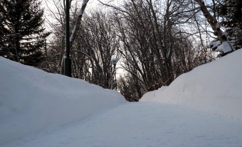 Mokaðir stígar / Ploughed Pathways