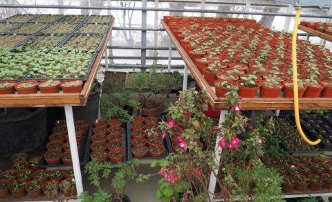 Sow little space....