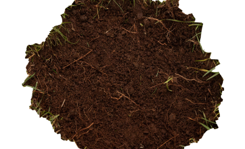 Portal to appear at the Akureyri Botanic Garden