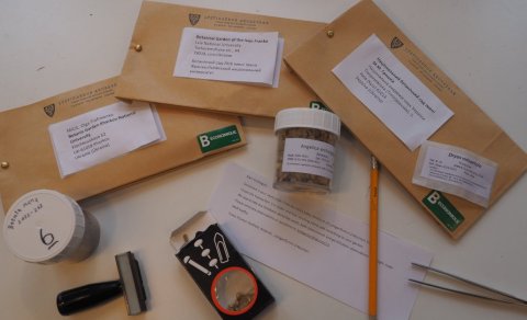 Fræ fyrir Úkraínu